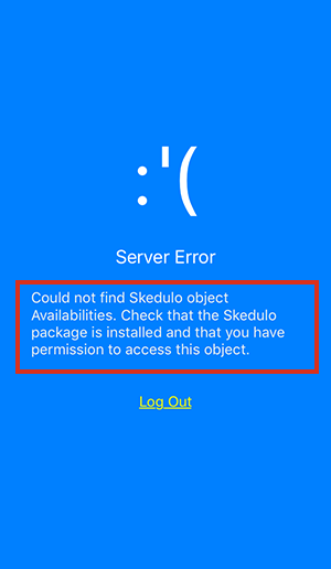 Skedulo displaying a server error which occurred due to the end user having no permission set assigned in the CRM.