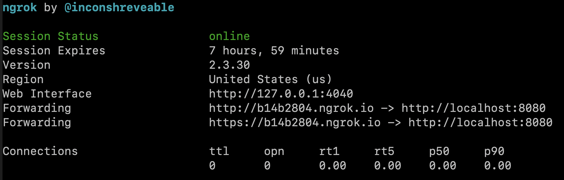 Ngrok started in terminal.