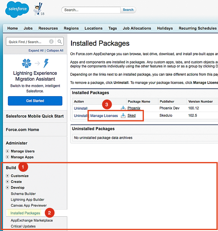 An example showing how to find Skedulo licenses via Installed Packages in Salesforce Classic.