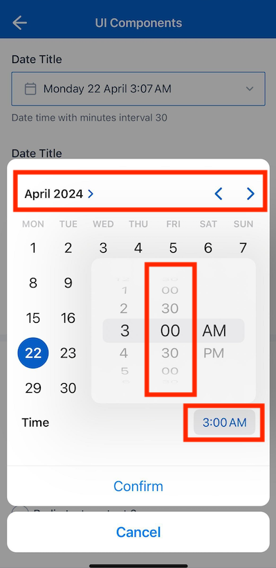 Date time picker (30 minutes interval)