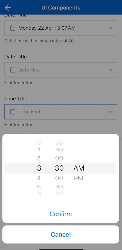 Time picker iOS