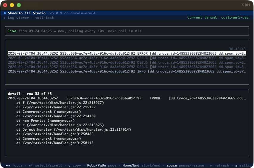 The view logs screen in Skedulo CLI Studio
