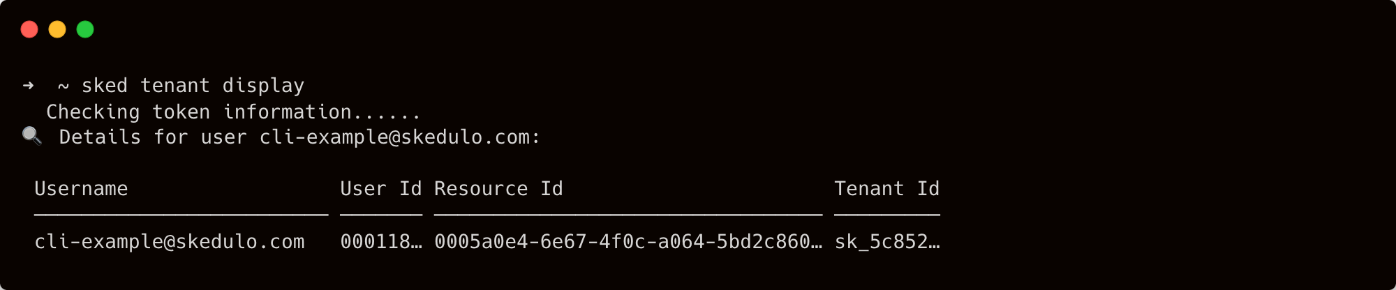 tenant info display with the Skedulo CLI